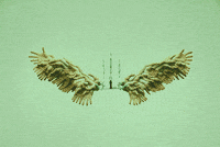 animation xooang choi GIF by weinventyou