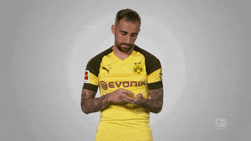 borussia dortmund football GIF by Bundesliga