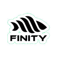 Catch And Release Berlin Sticker by Finity Fishing