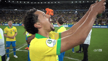 Selecao GIF by Confederação Brasileira de Futebol