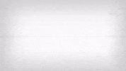 texas am fun GIF by Texas A&M University