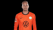 Football No GIF by VfL Wolfsburg