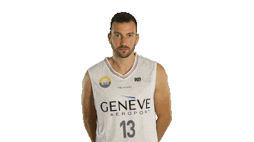 Basketball Ball Sticker by Lions de Genève