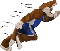 Foxi Sticker by VfB Fallerlsleben e.v.