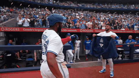 Blue Jays Baseball GIF by Toronto Blue Jays