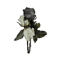 Flower Rose Sticker