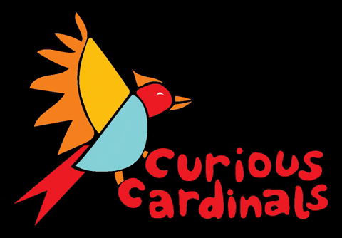 CuriousCardinals giphygifmaker GIF