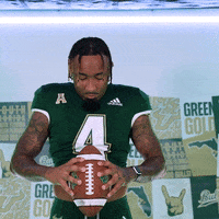 Ncaa Football GIF by USF Athletics