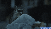 Trash Garbage GIF by GEICO