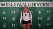 Iwuwvb24 GIF by iwusports