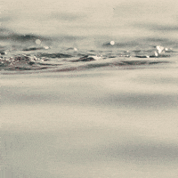 South Carolina Gamecocks Water GIF by gamecocksonline