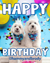 Happy Birthday GIF by HammyandBrody