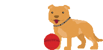 AussieDogProducts fun dog cartoon australia Sticker