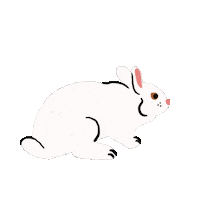 Jump Bunny Sticker