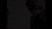 Lambo GIF by R3 Da Chilliman