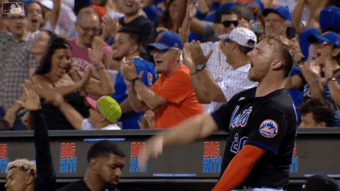 Excited Pete Alonso GIF by New York Mets