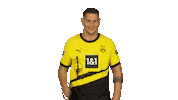 Happy Borussia Dortmund Sticker by Bundesliga