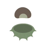 Plant Nut Sticker