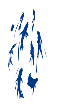 Préservonsnosocéans Sticker by Allianz France