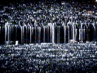 digital GIF by Royal Smith