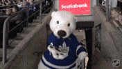 Happy National Hockey League GIF by NHL
