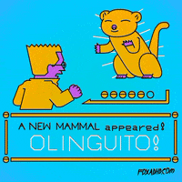 fox adhd GIF by Animation Domination High-Def