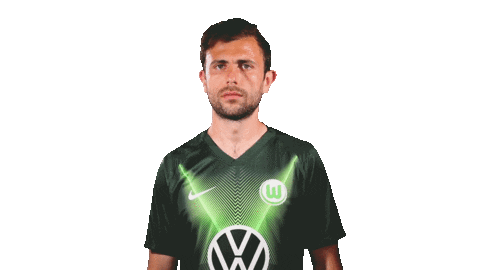 Admir Mehmedi Soccer Sticker by VfL Wolfsburg