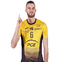 Volleyball Karol Sticker by PGE Skra Bełchatów