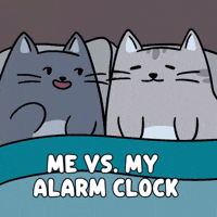 Waking Up Morning Routine GIF by MESA My Emotional Support Animal