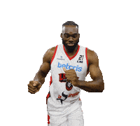 SporterRD lnb leones leones de santo domingo Sticker