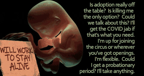 IBDaMann giphyupload GIF