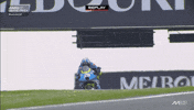 Phillip Island Win GIF by MotoGP™