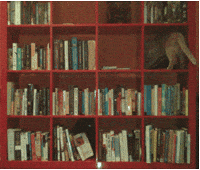 cat books GIF