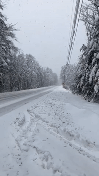 'Stay Home': Winter Storm Prompts Travel Warnings in New Hampshire