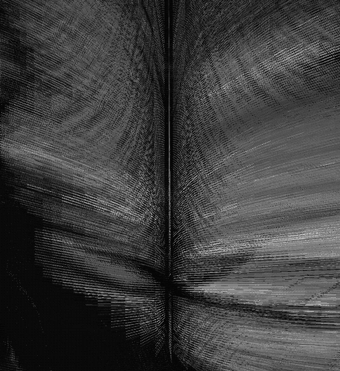 processing p5 GIF by Adam Ferriss