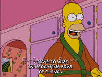homer simpson episode 6 GIF