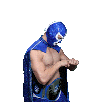 maskadorestacoshopaz wrestling wrestler lucha lucha libre Sticker