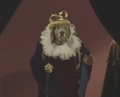 Take A Bow Thank You GIF by Jason Clarke