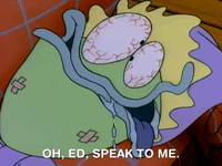 rockos modern life nicksplat GIF