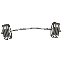 ballston quarter gym Sticker