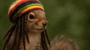 Rasta Rastafari GIF by Studio Voisier