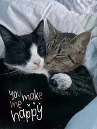 Love You Mood GIF