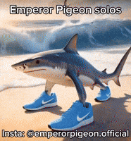 Italian Meme GIF