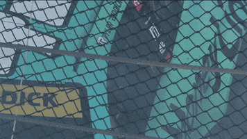 Tyler Reddick Sport GIF by NASCAR