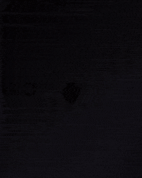 Vasco Da Gama GIF