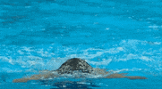 Paralympic Games Sport GIF by International Paralympic Committee