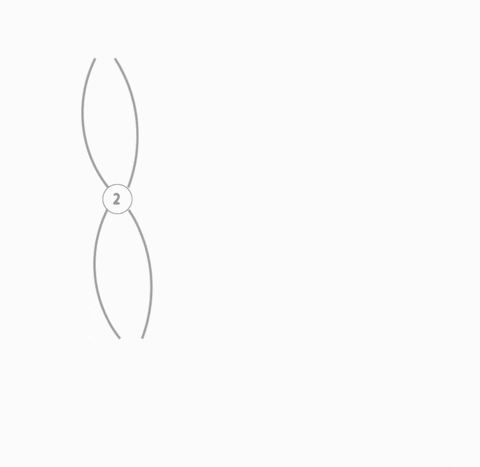 dportelli giphyupload GIF