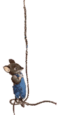 climbing STICKER