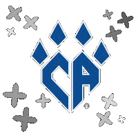 All Star Cheer Sticker by CA Denver