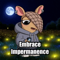 Wisdom Acceptance GIF by Chillo Dillo